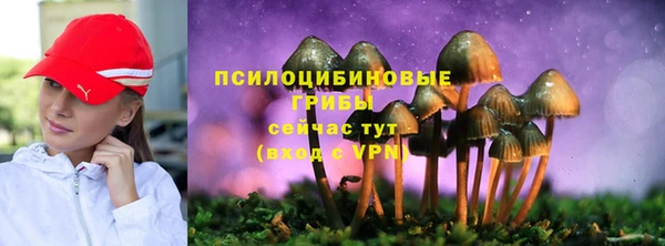 круглые Гусиноозёрск