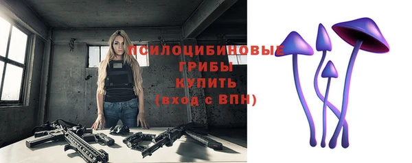 кокс Гусь-Хрустальный