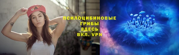 кокс Гусь-Хрустальный